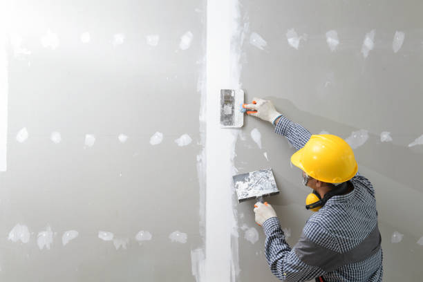Best Biohazard Mold Removal  in Jefferson, TX