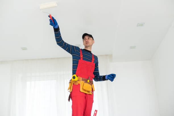 Best Black Mold Removal  in Jefferson, TX